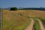 trasa 5